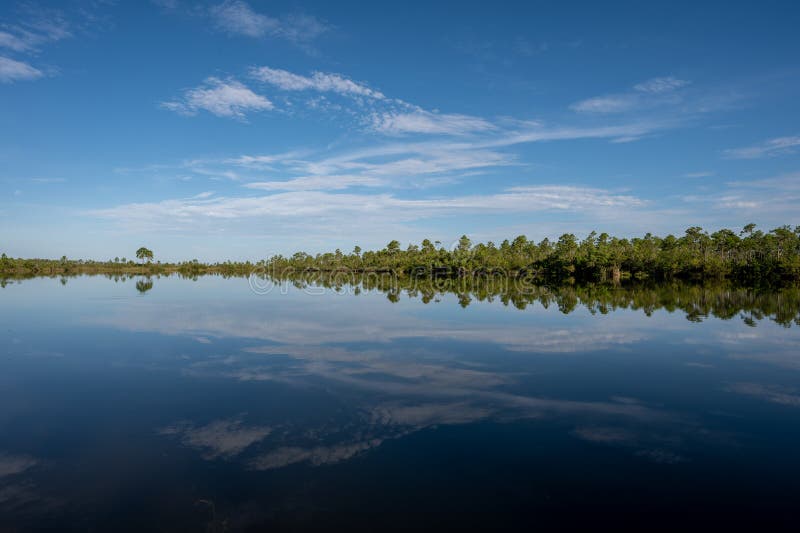 Wczesny ranek chmura nad jeziorem sosnowym w parku narodowym everglades. obrazy royalty free