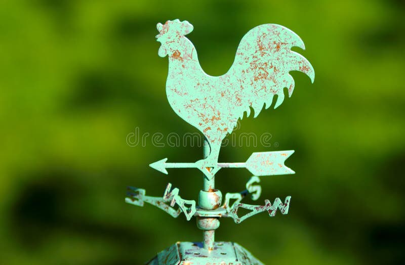 Funny small birdies stock vector. Illustration of funky - 10241746