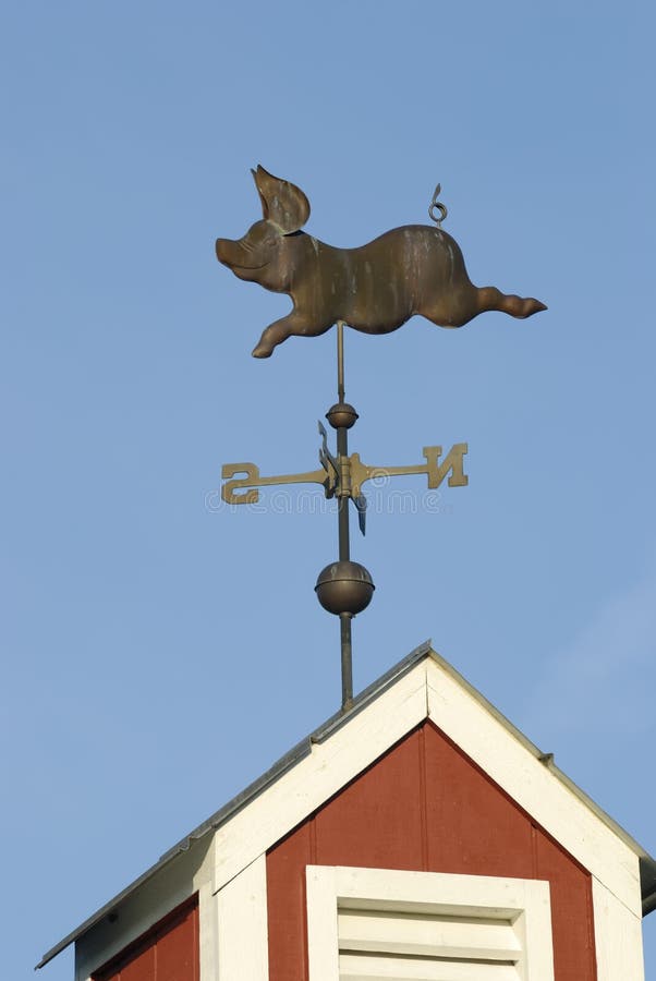 Weather Vane on Cupola