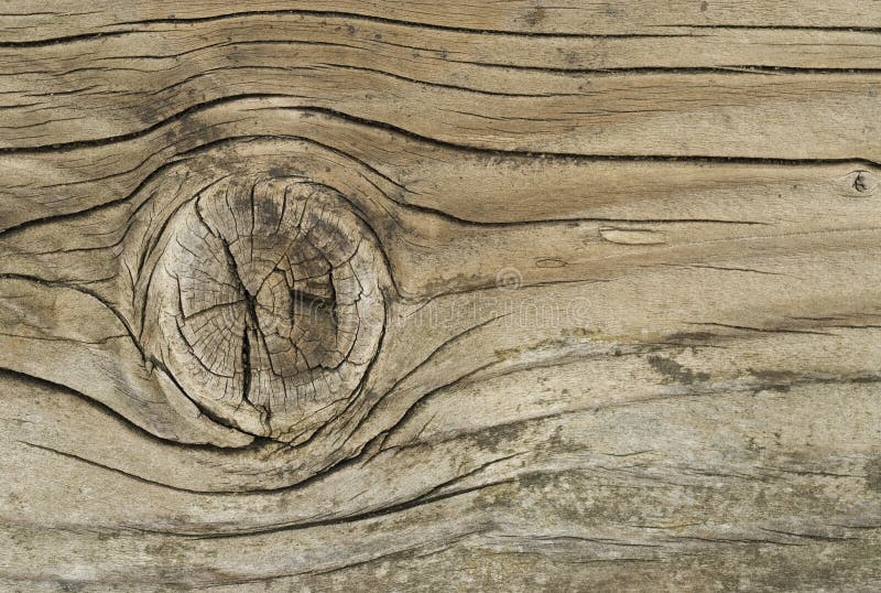 weatherd drewna