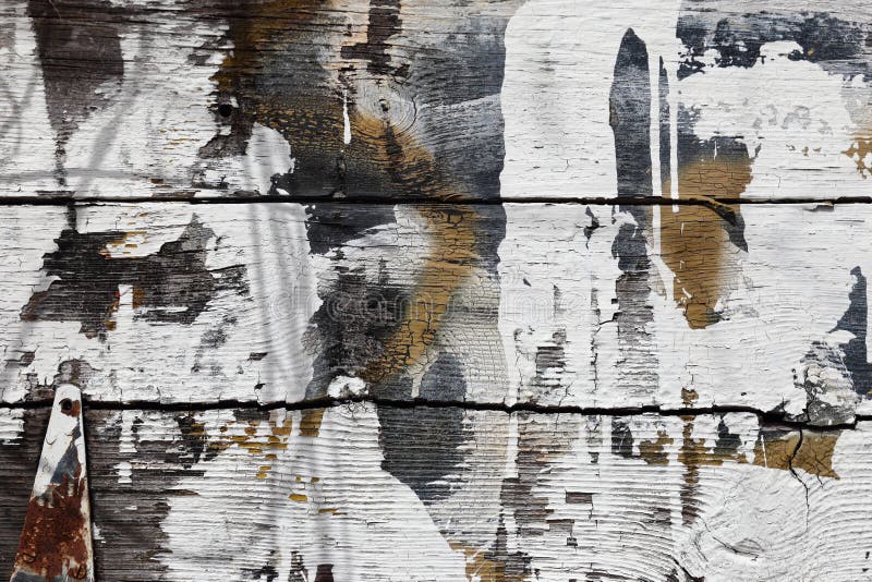 Old tobacco barn boards with textured black surface, large white splashes of paint, tan spots, knots, rusted hinge. Background. Old tobacco barn boards with textured black surface, large white splashes of paint, tan spots, knots, rusted hinge. Background.