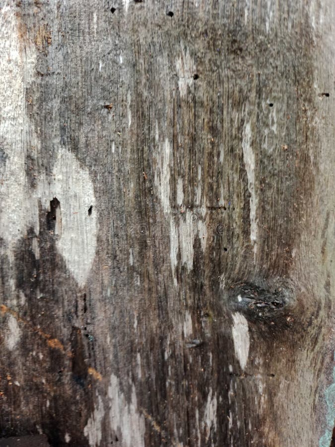 Weathered, Brittle, Old, Wet Wood Texture. Stock Photo Image of