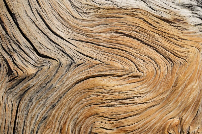 Contorted Wood Grain