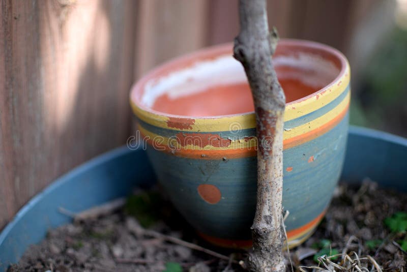 Why White Residue Shows Up on Terracotta Pots