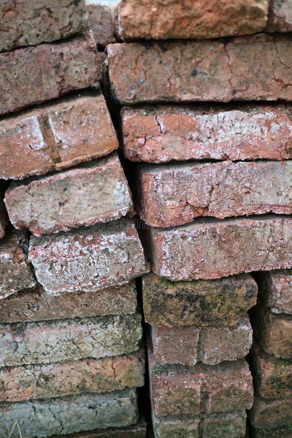 Weathered Red Bricks with Moss and Dirt royalty free stock image