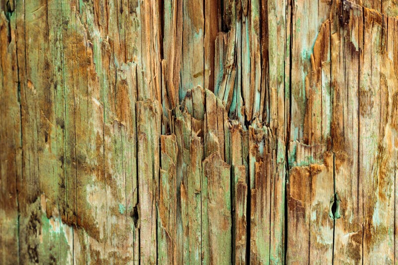 Weathered wood background, natural vintage grunge texture with paint of faded shades of blue green, aqua and turquoise over natura stock images Weathered wood background, natural vintage grunge texture with paint of faded shades of blue green, aqua and turquoise over natura stock images