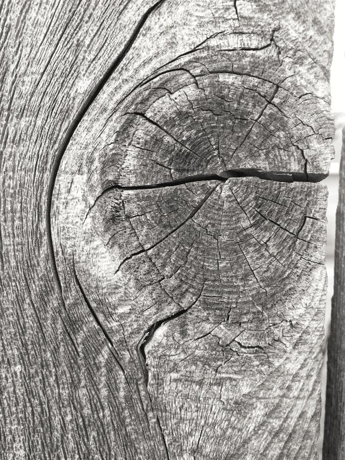 Wood Knot Hole Stock Photos Download 920 Royalty Free Photos