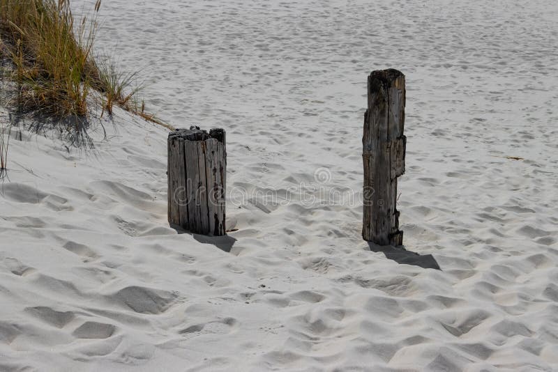 Weathered Wooden Poles in the Sand Stock Image Image of people