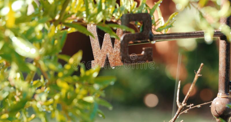 weathervane with rusty metal dripping with water focused on the west W