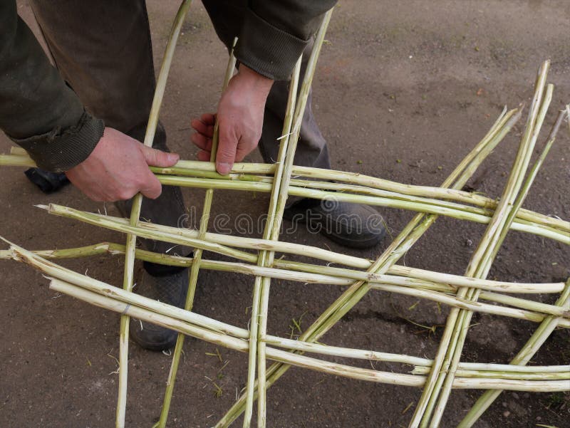 Weaving Constructions from Willow Branches Stock Photo Image of object, branches 244683208