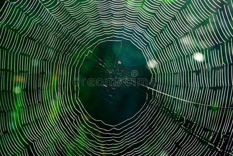 Web