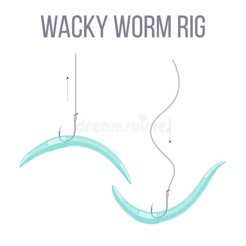 Wacky Worm Fishing Rig for Bass Stock Illustration - Illustration of  catching, perch: 138212468