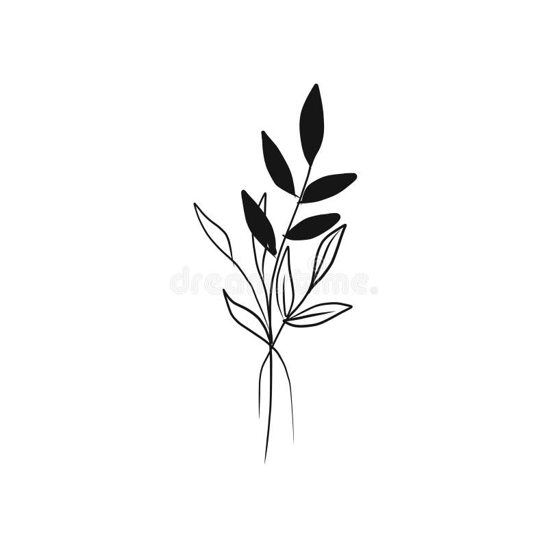 Hand Drawn Minimalistic Botanical Element in Graphic Style Stock ...