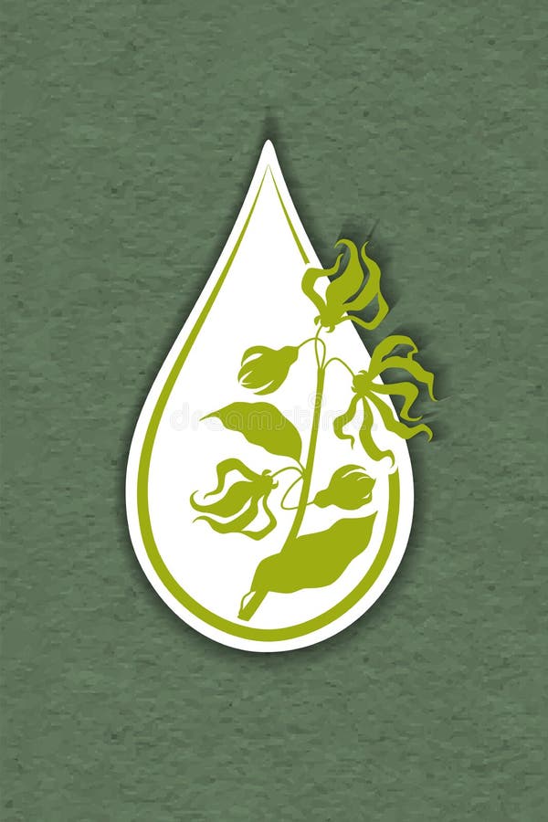 Drop of ylang ylang flower essential oil logo - cananga tree. Aromatherapy, perfumery, cosmetics, spa logo. raft paper textured stock illustration Drop of ylang ylang flower essential oil logo - cananga tree. Aromatherapy, perfumery, cosmetics, spa logo. raft paper textured stock illustration