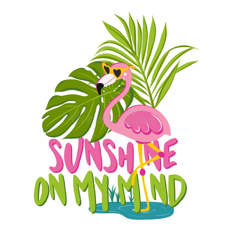 Flamingo Quotes Stock Illustrations 140 Flamingo Quotes Stock