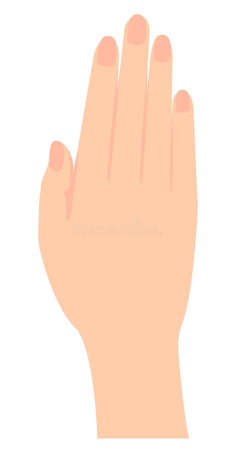 Female Hand Gesture Illustration Stock Vector - Illustration of cartoon, back: 161240678 Female Hand Gesture Illustration Stock Vector - Illustration of cartoon, back: 161240678