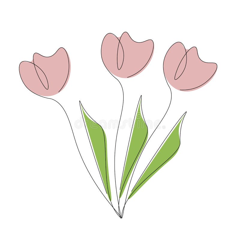 Pink Tulips Flowers Drawing. Vector Stock Vector Illustration of