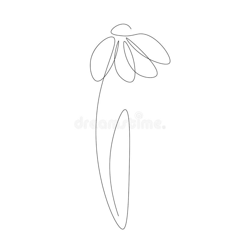 Flower Chamomile On White Background Vector Stock Vector - Illustration