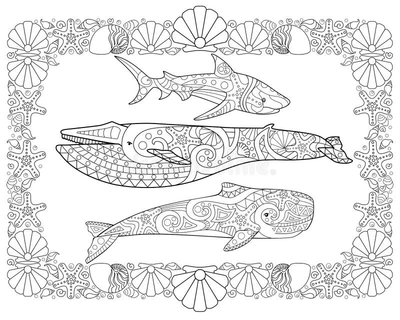 Sperm whale, Blue whale and shark in a frame from shells - horizontal vector page coloring antistress. Vector coloring book with s