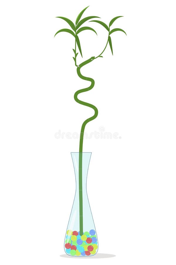 Bamboo Flower Vase Stock Illustrations 274 Bamboo Flower Vase Stock