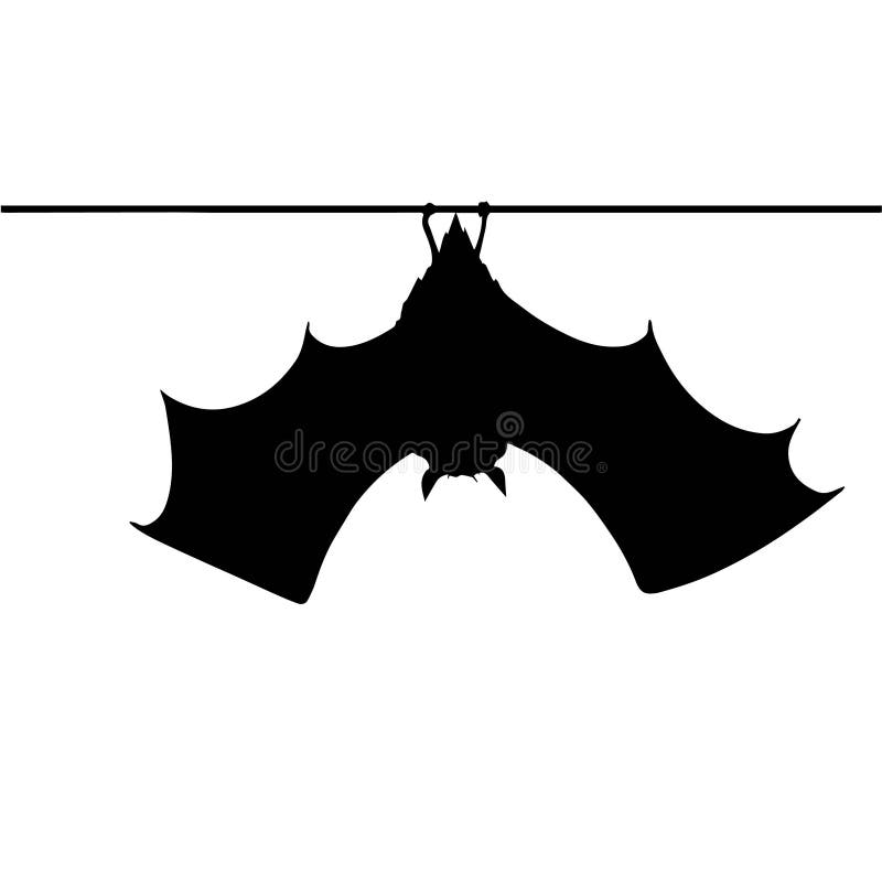 HANGING BAT, BLACK and WHITE ILLUSTRATION Stock Illustration