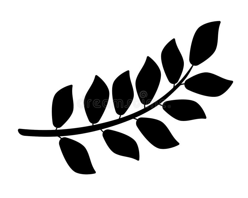 Branch with Leaves Black Vector Silhouette for Pictogram or Logo