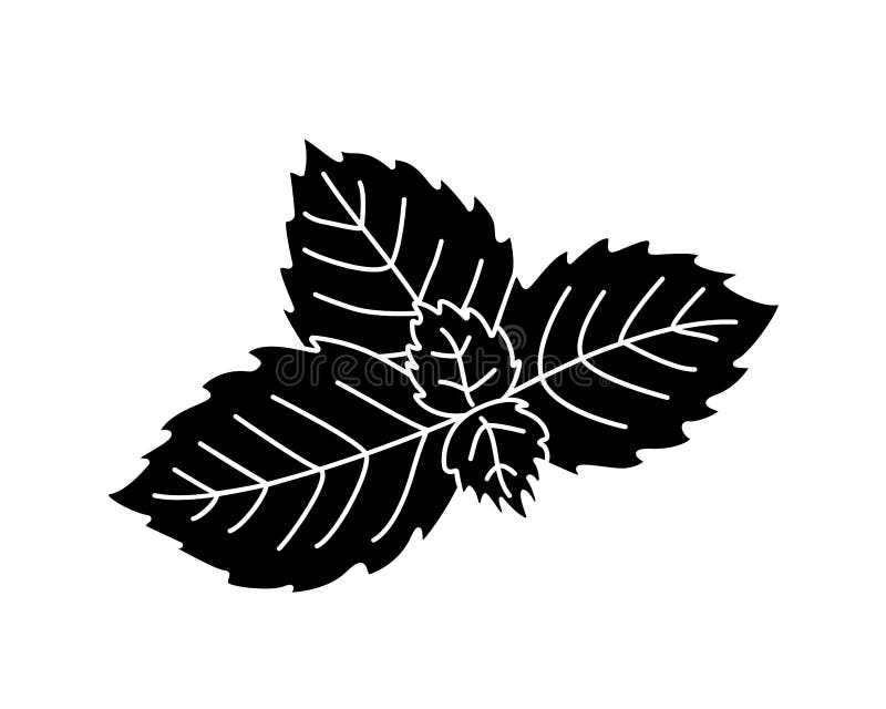 Mint Leaves - Black Vector Silhouette For Pictogram Or Logo. Peppermint