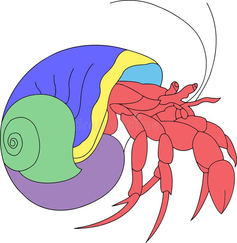 Hermit crab illustration on white royalty free illustration