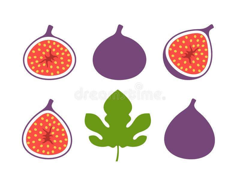 Fig Logo Stock Illustrations 1,040 Fig Logo Stock Illustrations