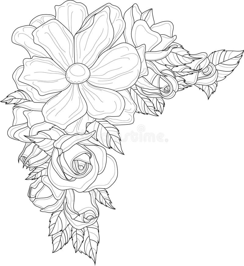 images Rose Corner Flower Border Design Drawing dreamstime com