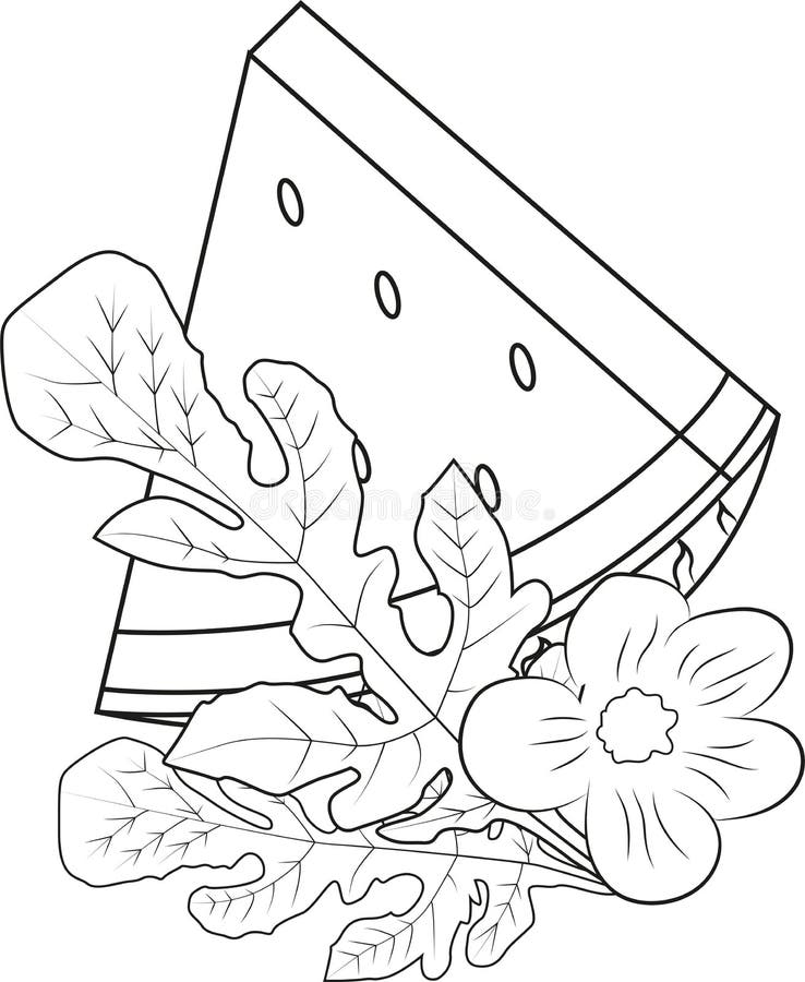 Watermelon Plant Coloring Page