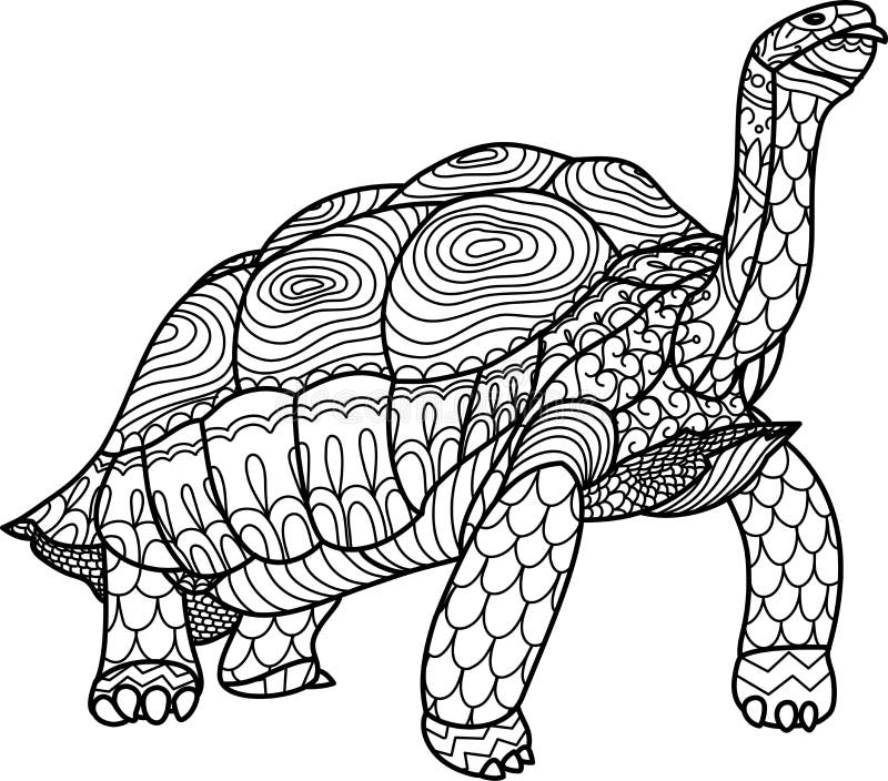 tortoise coloring pages