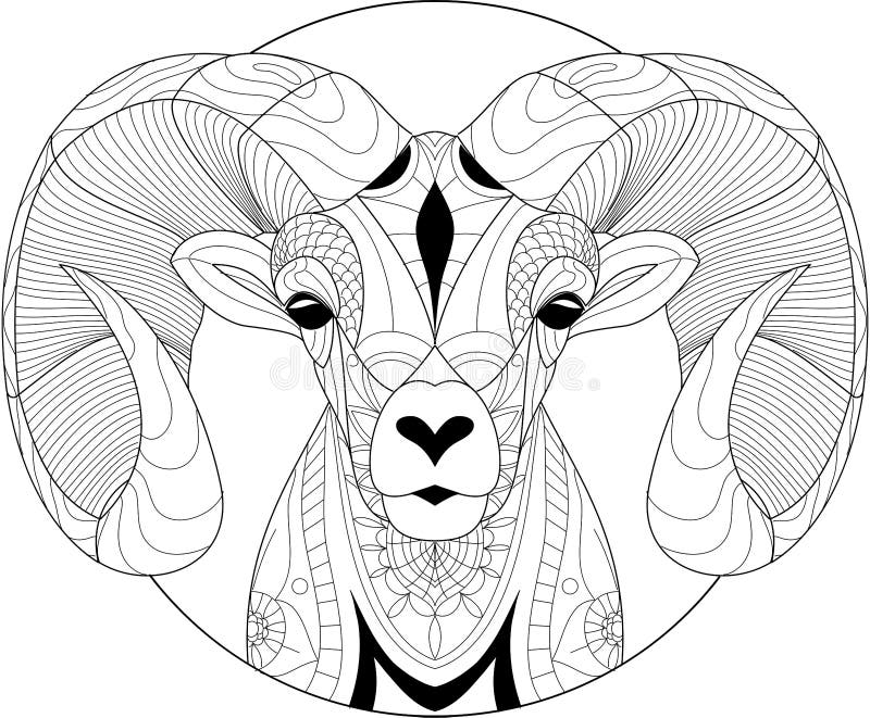 Desert Bighorn Sheep Zentangle for Adult Coloring Page or Decoration ...