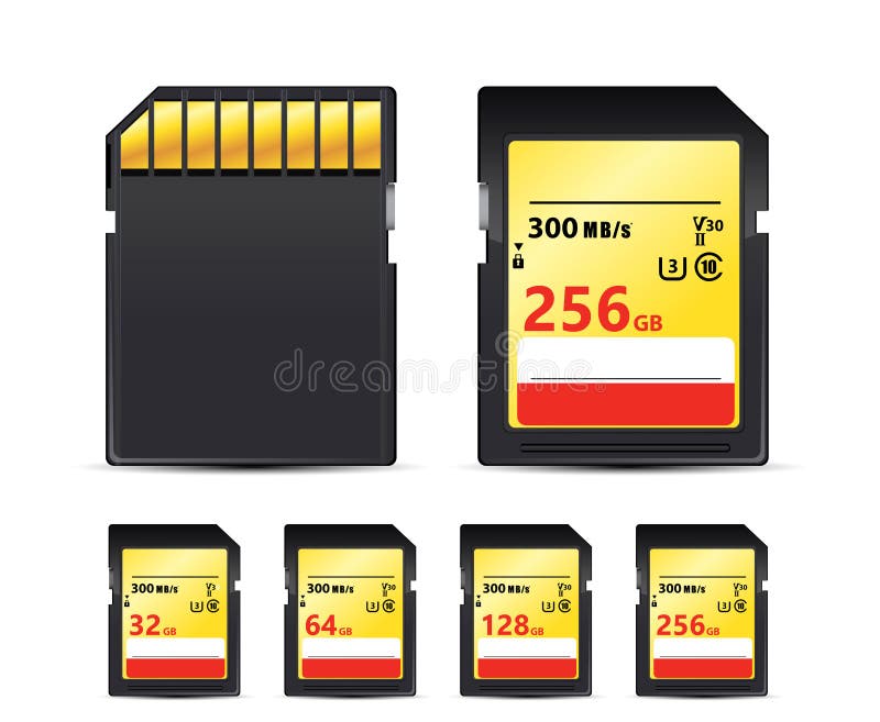 Illustration Vector Memory SD Cards Isolated on White Background this