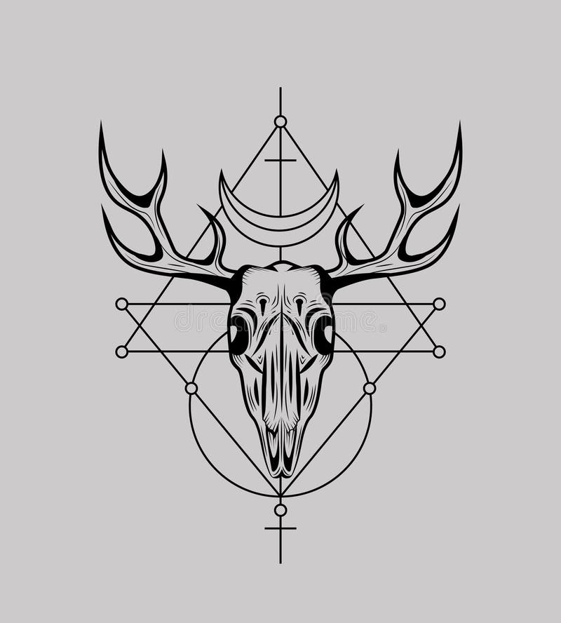 Hand drawn deer head wild animal with horn mammal reindeer tattoo vector  illustration  CanStock
