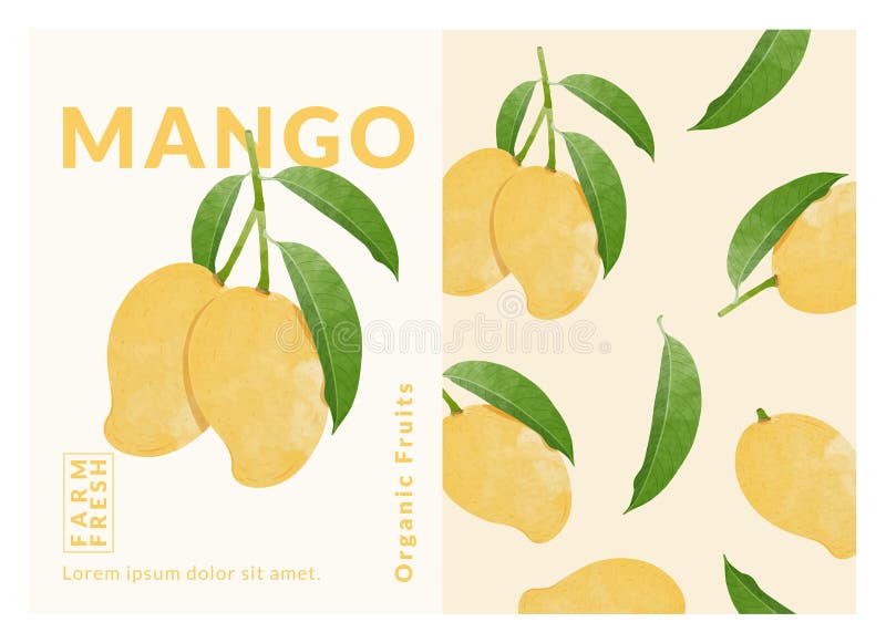 Mango packaging design templates, watercolour style vector illustration. royalty free stock images
