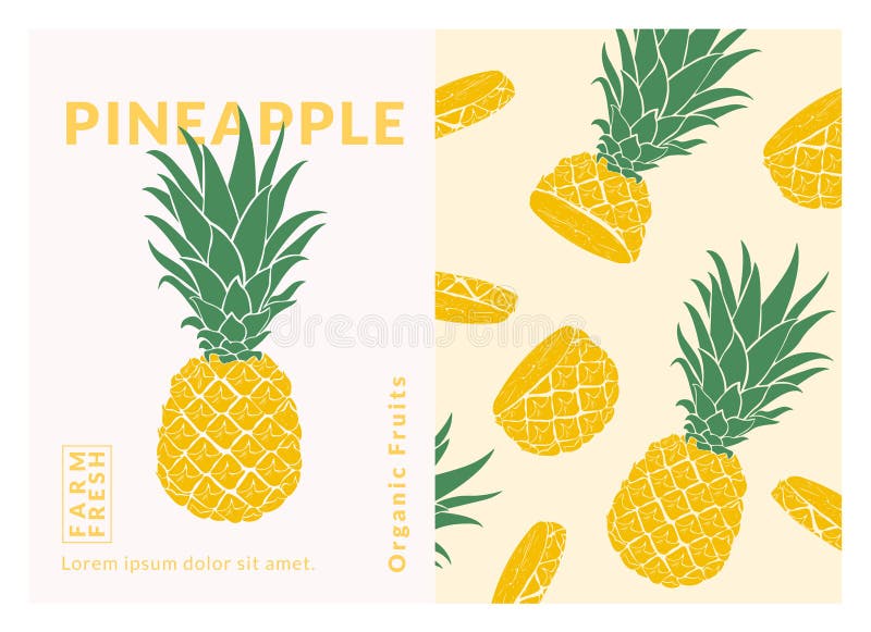 Pineapple Label packaging design templates, Hand drawn style vector illustration. royalty free stock photography