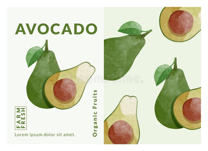 Avocado fruit packaging design templates, watercolour style vector illustration. stock image