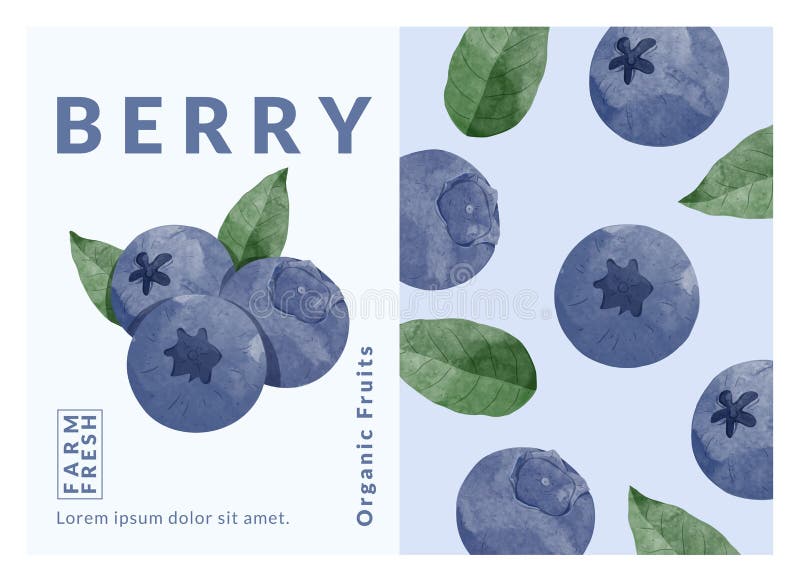Blue berry packaging design templates, watercolour style vector illustration. royalty free stock images