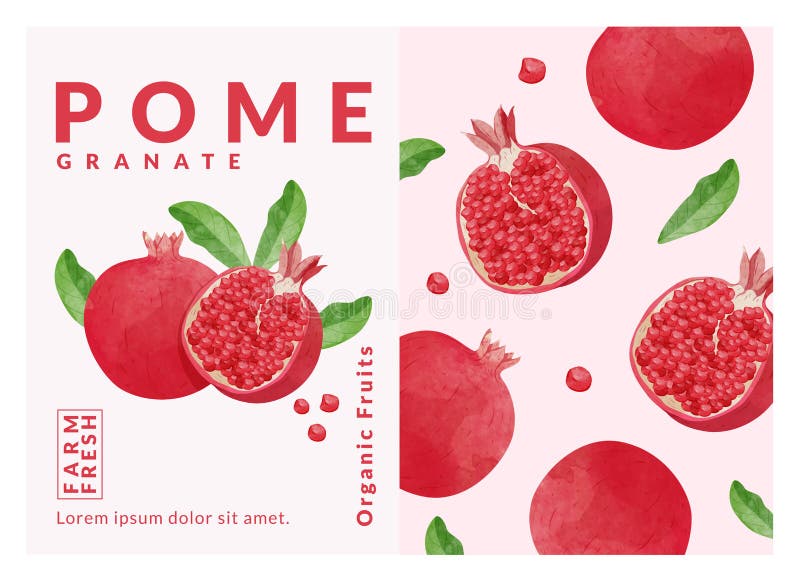 Pomegranate packaging design templates, watercolour style vector illustration. royalty free stock photo
