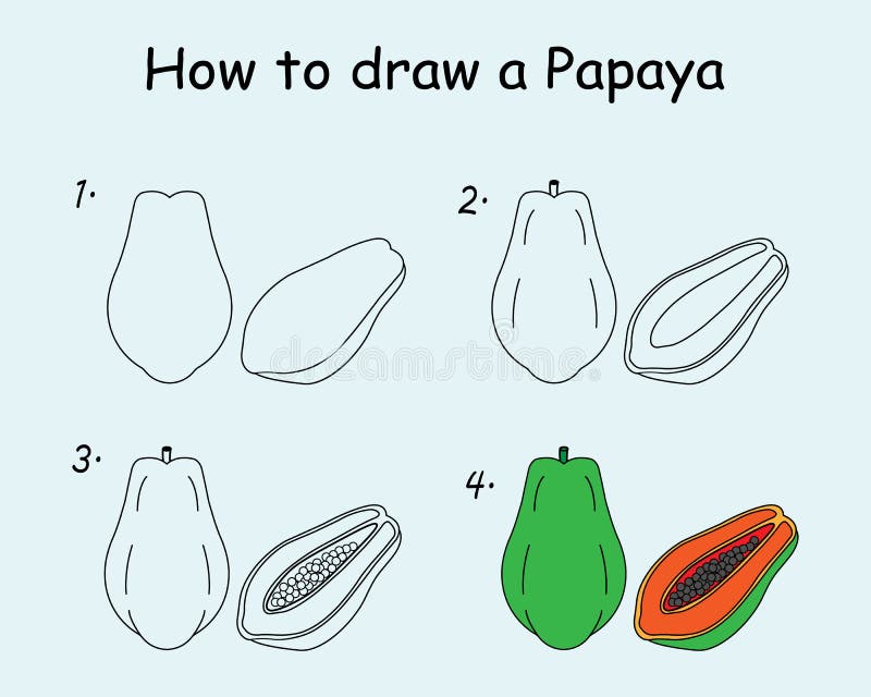 Step by Step To Draw a Papaya. Drawing Tutorial a Papaya. Drawing