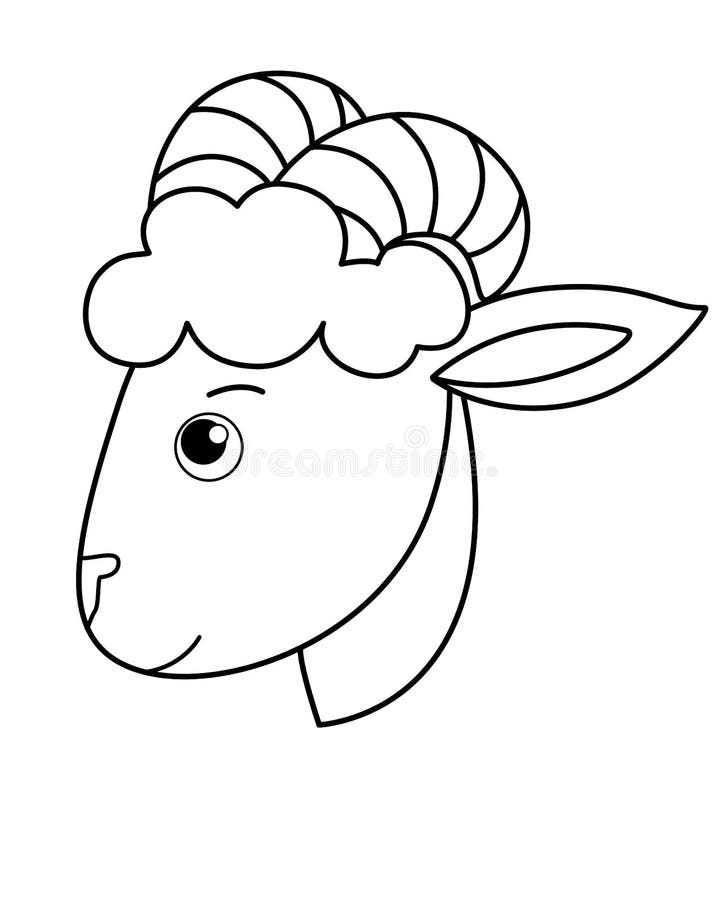 lamb profile drawing