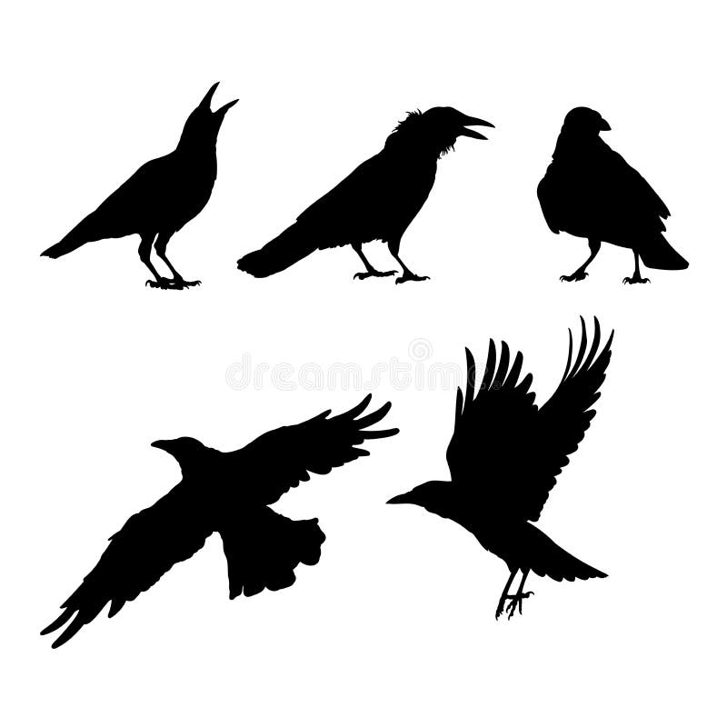 Silhouette Flock Crows Tattoo Stock Illustrations – 14 Silhouette Flock Crows Tattoo Stock Illustrations, Vectors & Clipart - Dreamstime Silhouette Flock Crows Tattoo Stock Illustrations – 14 Silhouette Flock Crows Tattoo Stock Illustrations, Vectors & Clipart - Dreamstime