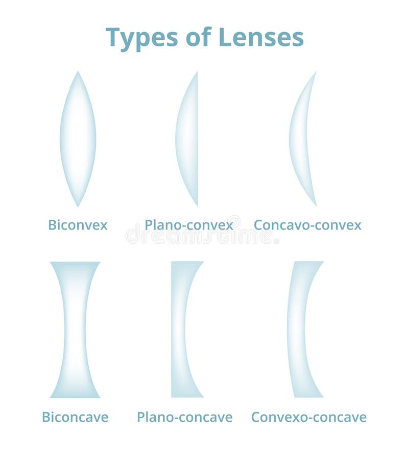 Concavo Convex Stock Illustrations – 6 Concavo Convex Stock