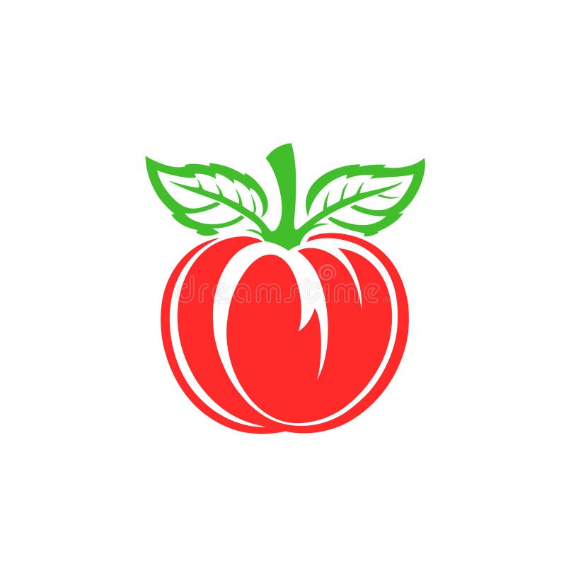 Red tomato with leaves icon vector illustration