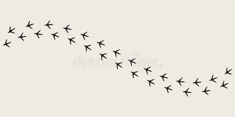 Web stock illustration