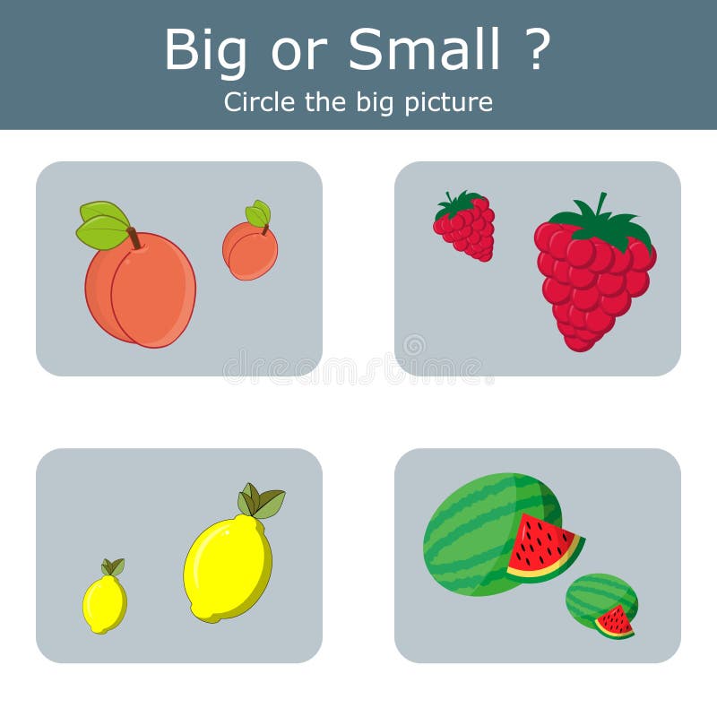 Circle the Small Fruits, Find Big or Small Worksheet for Kids