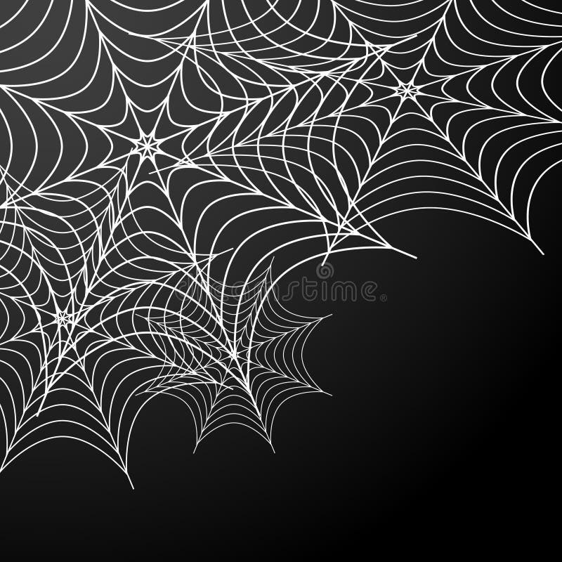 An image of a cobweb background. Spiderwebs vectors