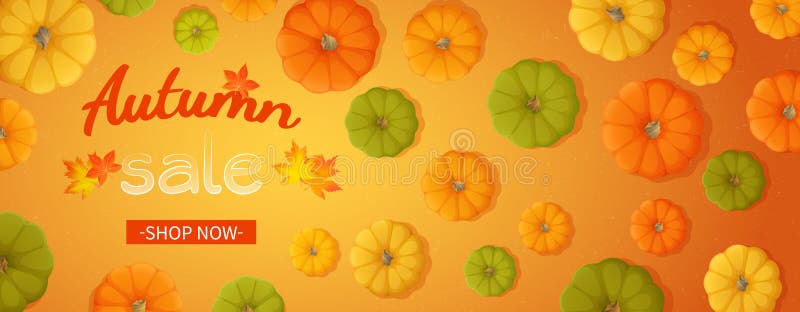 Web banner for Autumn sale. Horizontal banner flyer with yellow, green, orange pumpkins, leaves on a orange background.