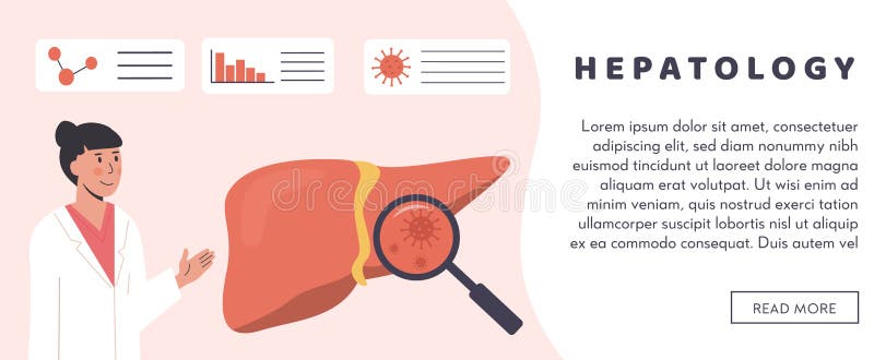 Hepatic Bacteria Stock Illustrations – 202 Hepatic Bacteria Stock ...